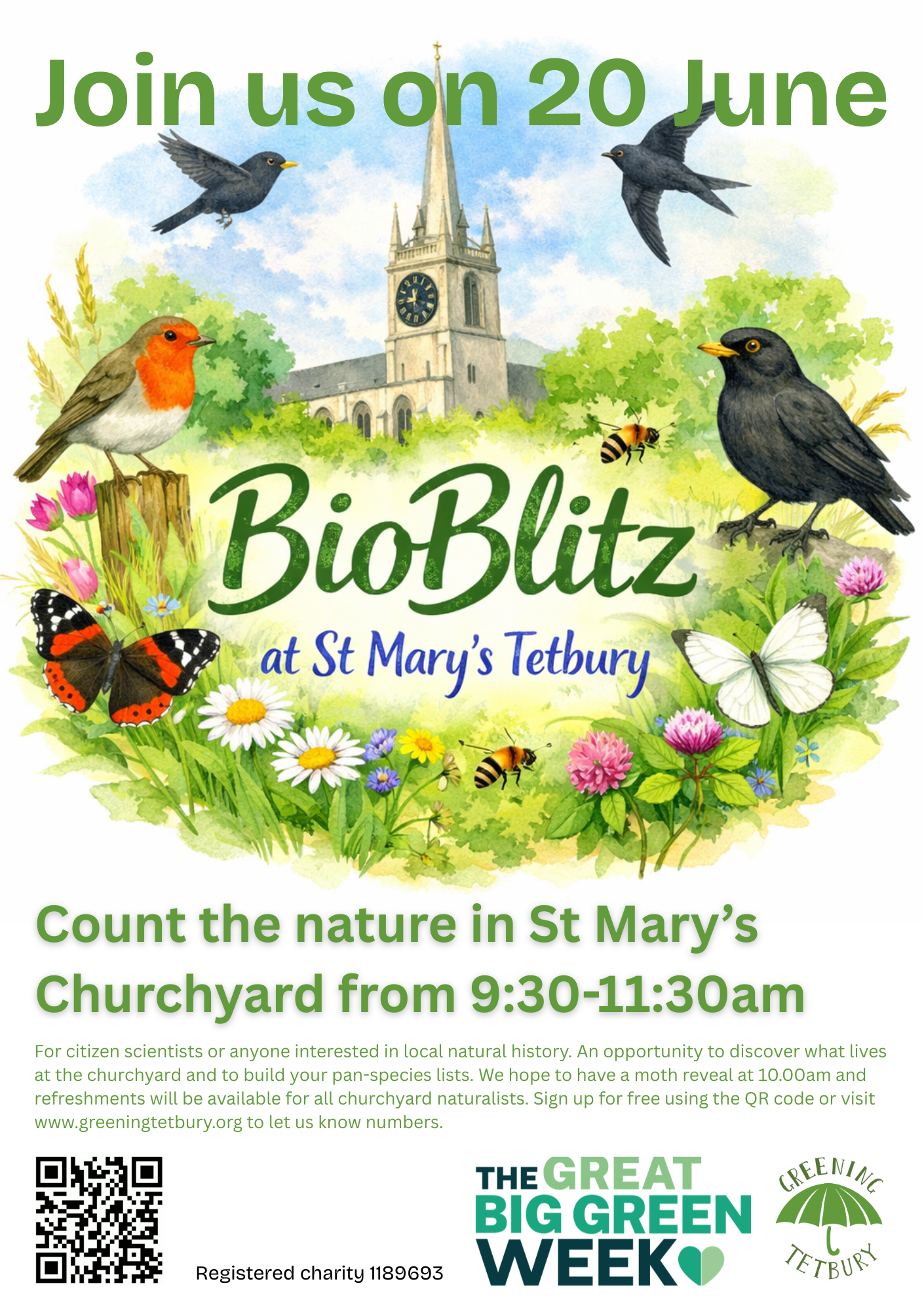 St Mary's Bioblitz